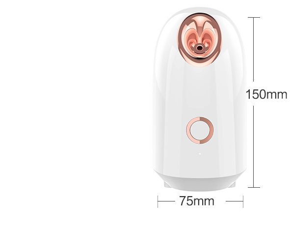 Facial Steamer Device
