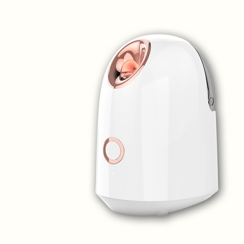 Facial Steamer Device